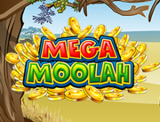 mega moolah